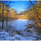 Waldweiher bei Eppelborn