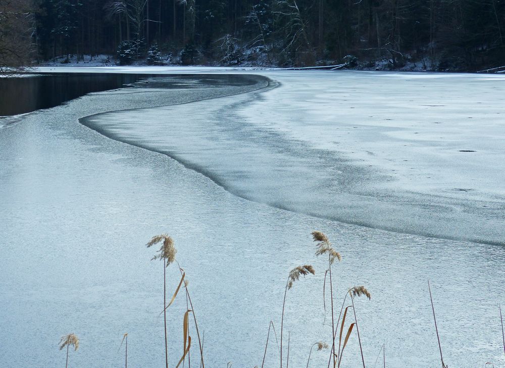 Waldweiher