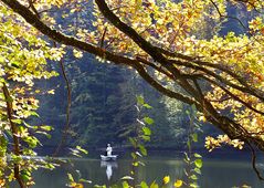 Waldweiher-Idylle