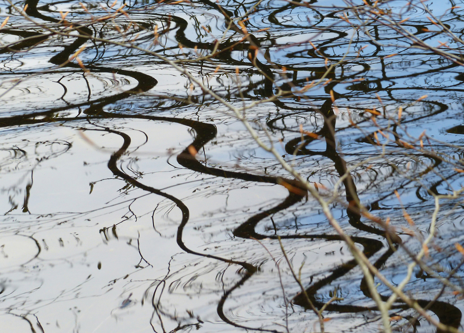 Waldweiher Spiegelei