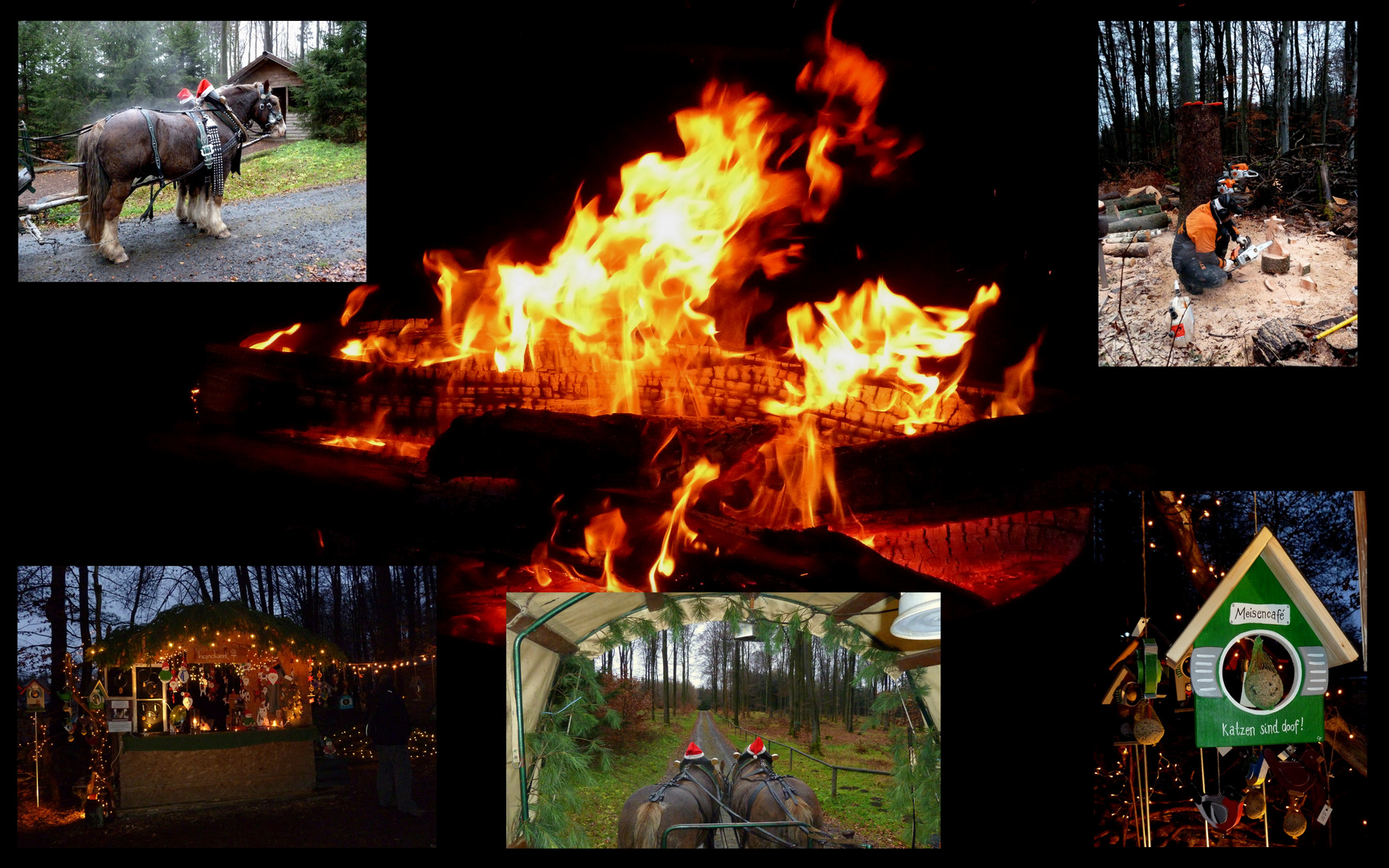 Waldweihnacht auf der "Bayrischen Schanz"