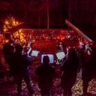 Waldweihnacht im Odenwald