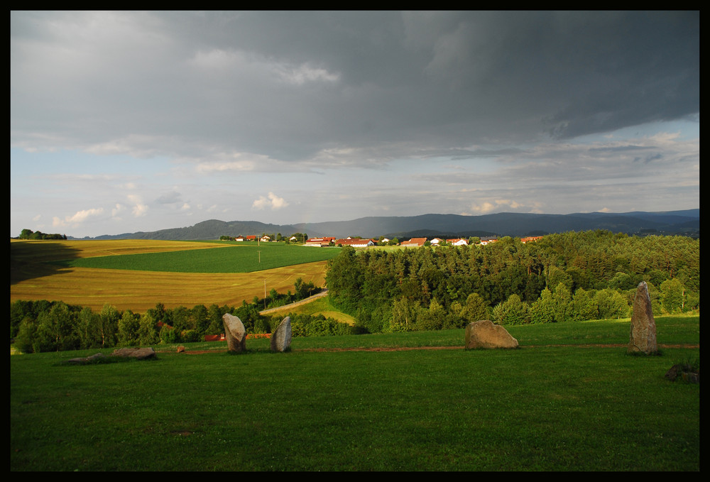 Waldwelt