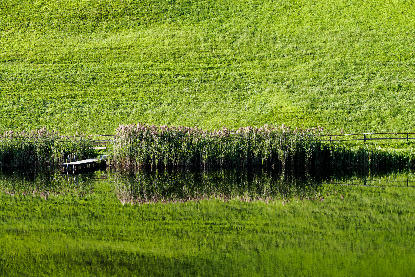 Waldwiesensee.