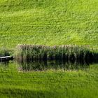 Waldwiesensee.