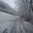 Waldwinter