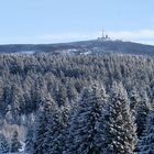 Waldwinter