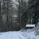 Waldwinterabend