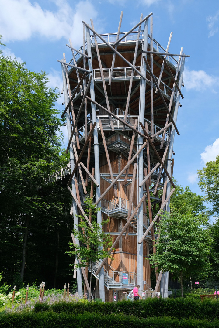 Waldwipfelpfad Bad Iburg