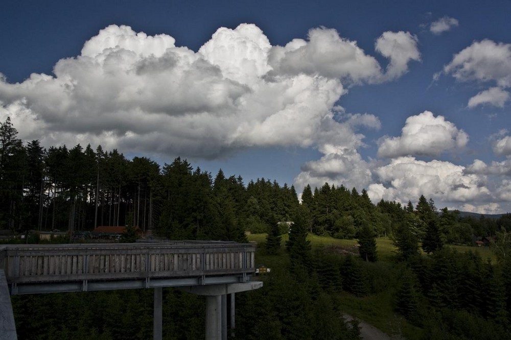 Waldwipfelweg in St. Englmar 1