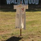 WALDYWOOD