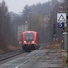 Wale in Oberfranken oder Schmuddelwetter zum Jahresbeginn II