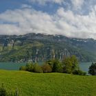 [ Walensee ]