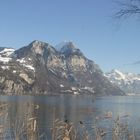 Walensee im Winter, Wesen (GL)