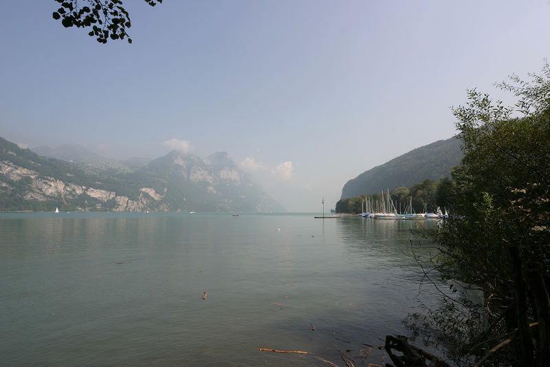 Walensee, Sicht aus Weesen, Gl.