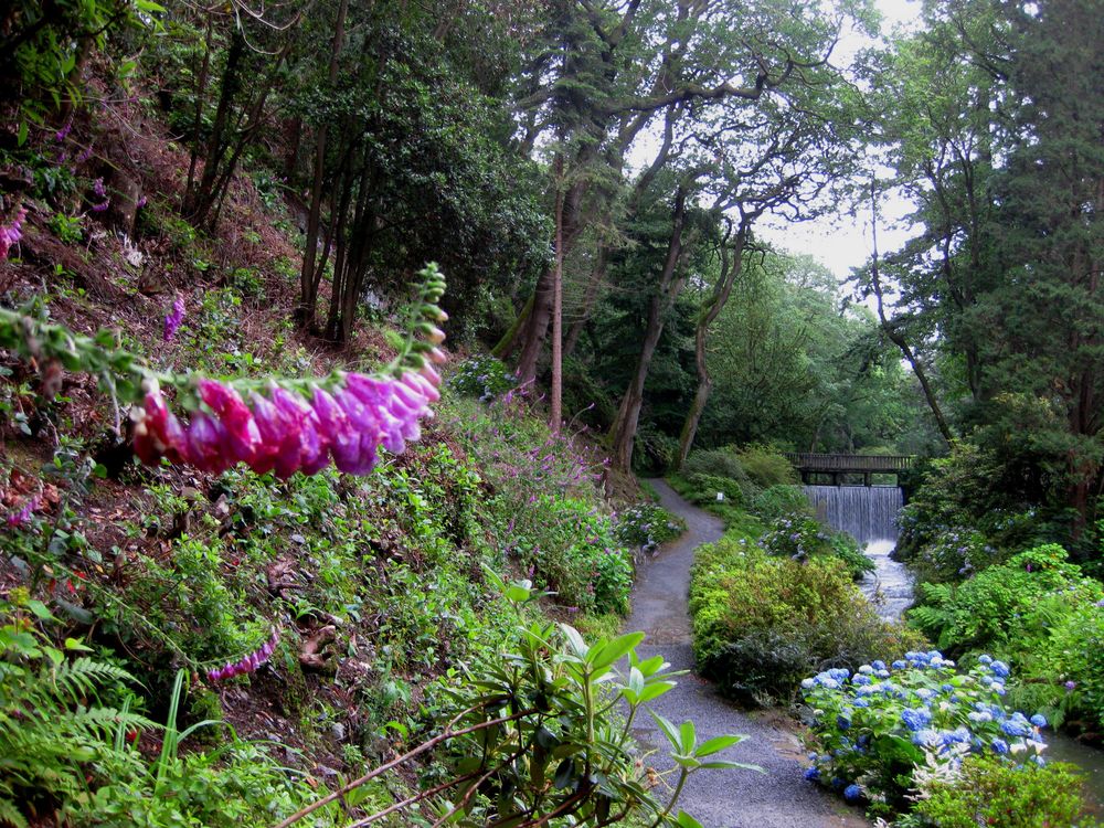 Wales: Bodnant Garden