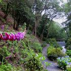 Wales: Bodnant Garden