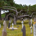 Wales Friedhof 2