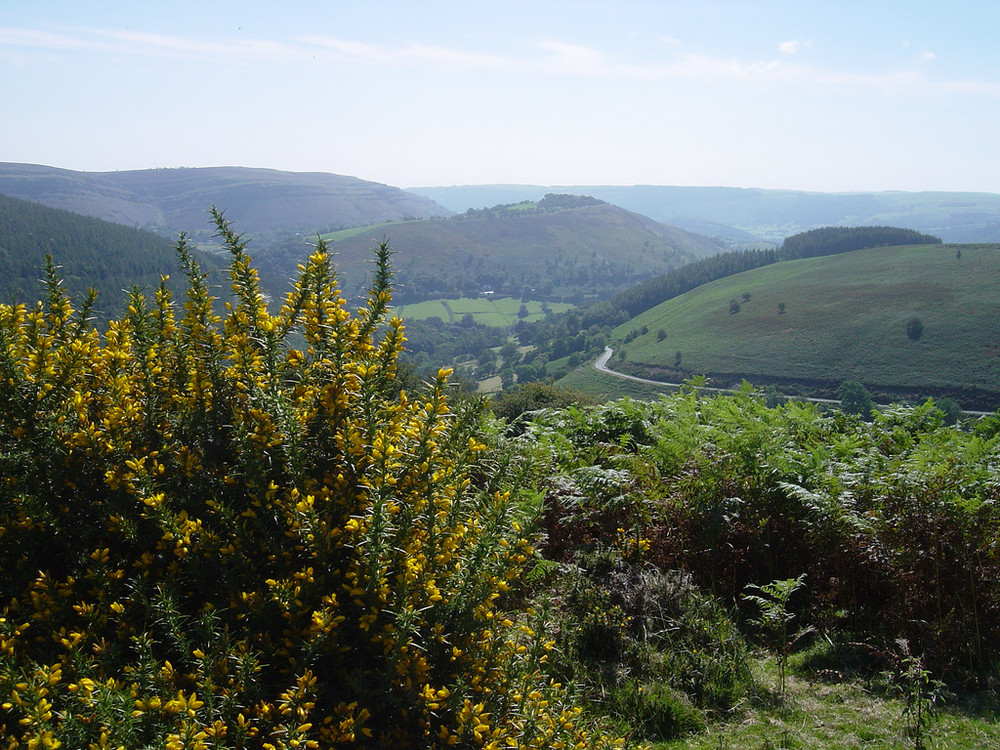 Wales, how we love it!