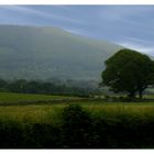 Wales: Landschaft bei Llanberis