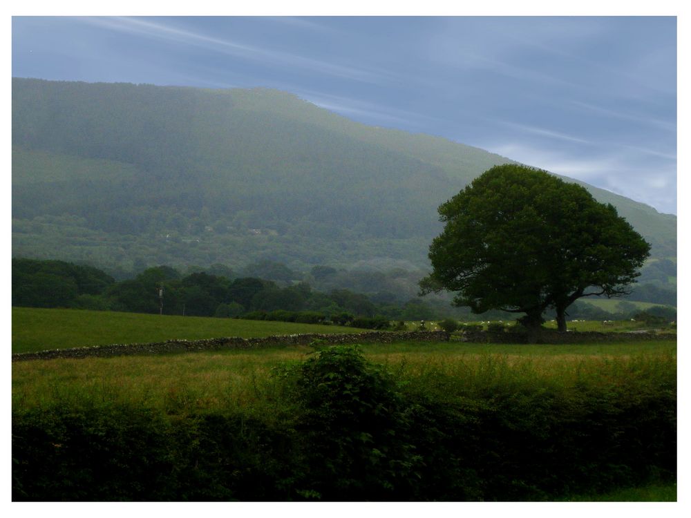 Wales: Landschaft bei Llanberis