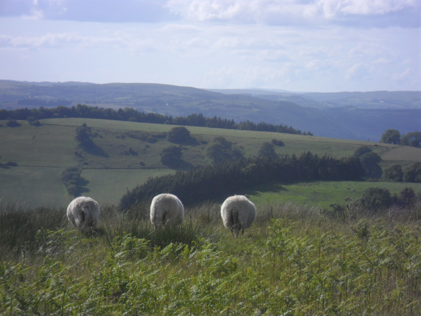 Wales nature