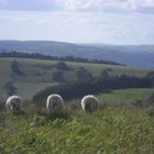 Wales nature