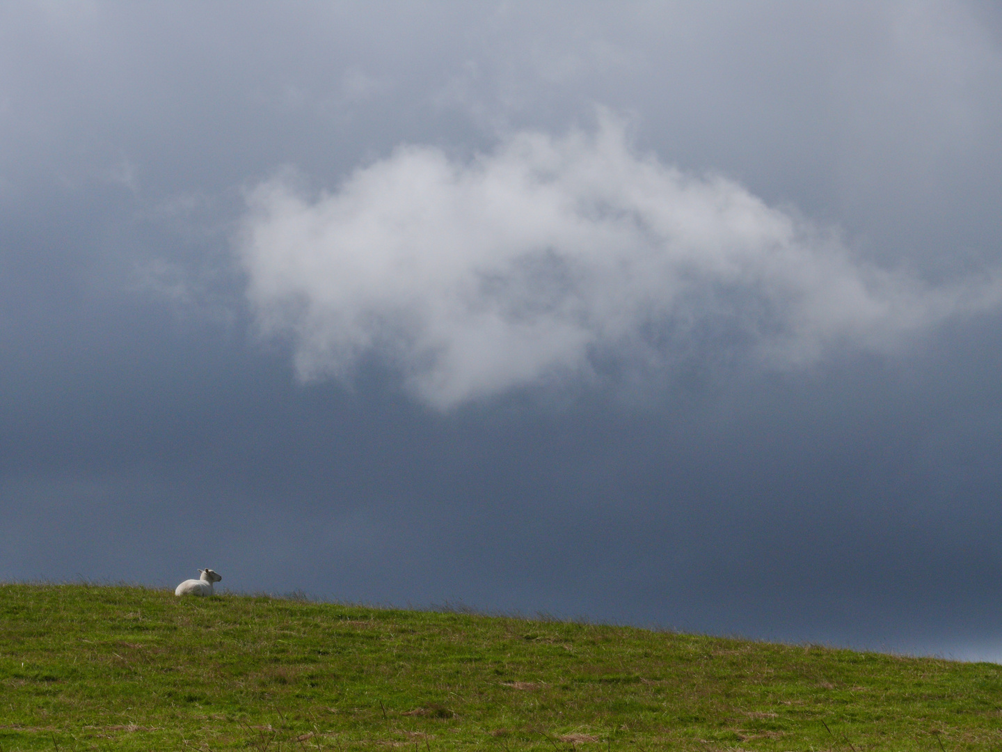 Wales Sommer 2014