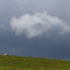 Wales Sommer 2014