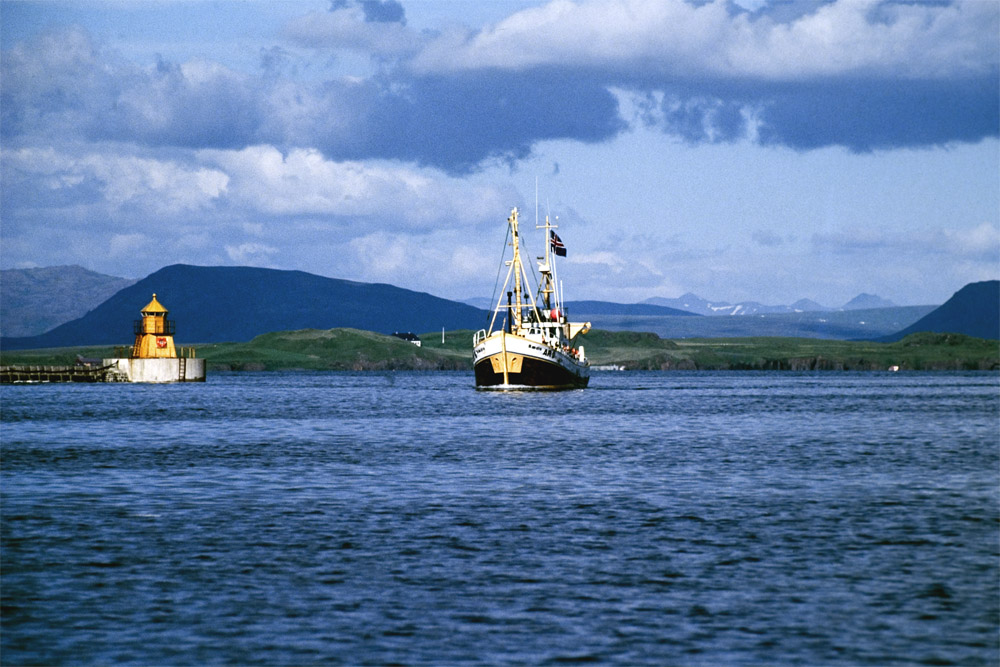 Walfänger in Island 2