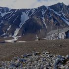 Walfängerhütte und Walknochen