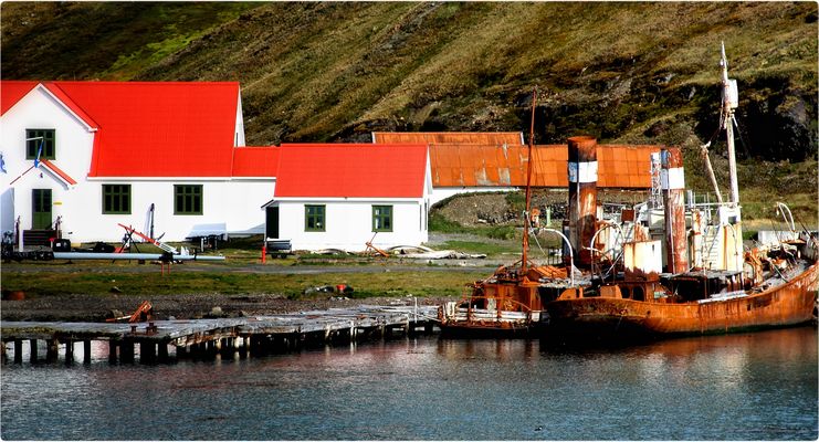 Walfangkutter Petrel von 1928 Grytviken, Südgeorgien