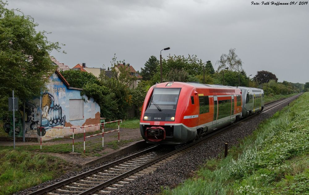 Walfisch unterwegs