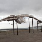 Walfischskelett auf Fuerteventura