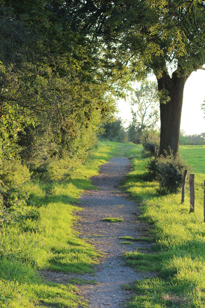 Walheim