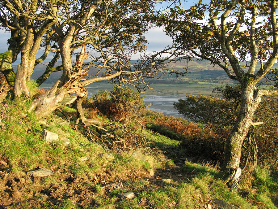 Walisische Landschaft