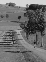 Walk A Line !