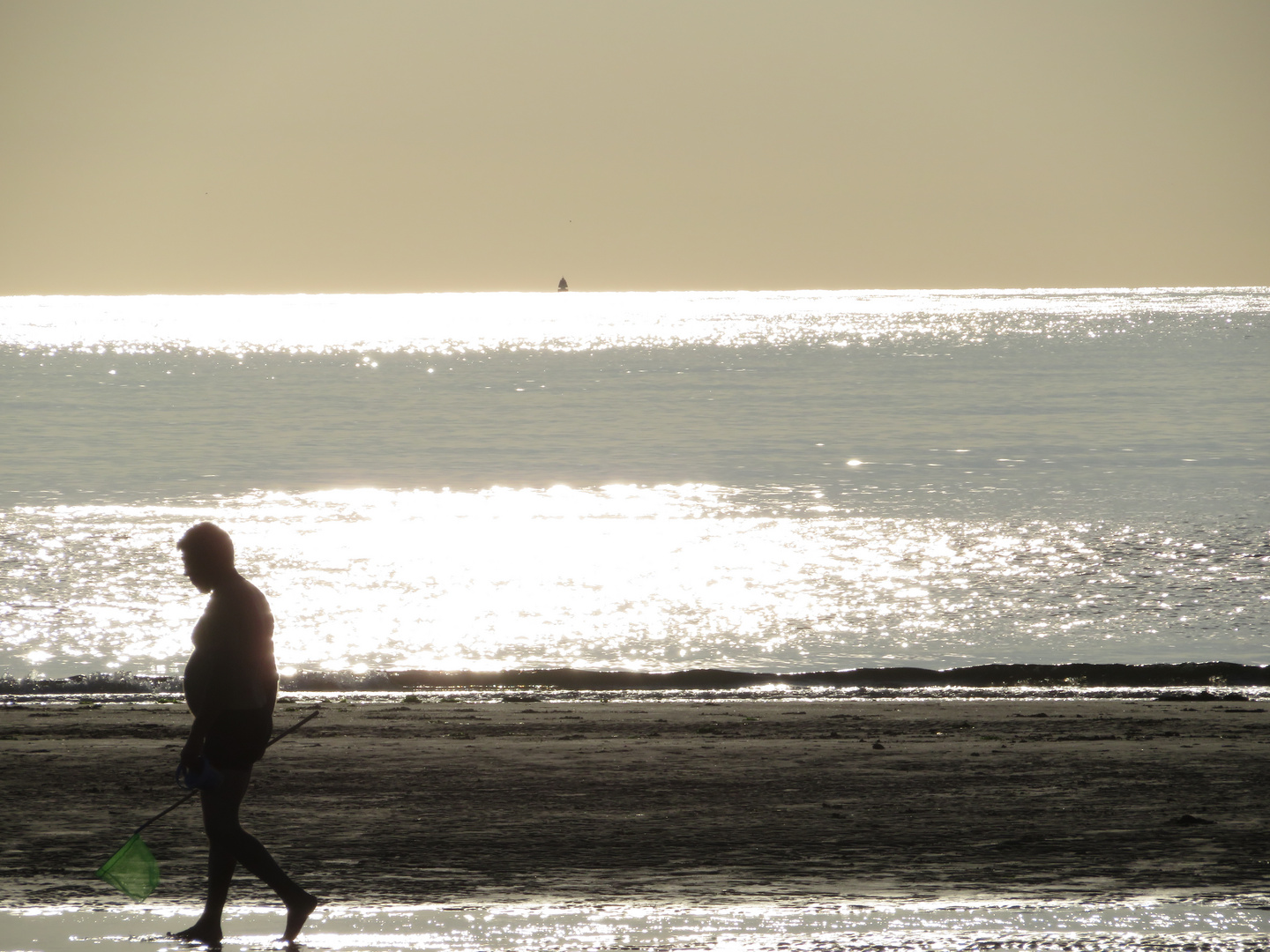 Walk along the beach