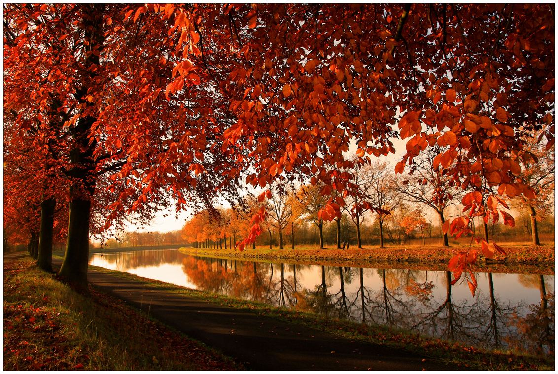 Walk along the canal