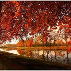 Walk along the canal