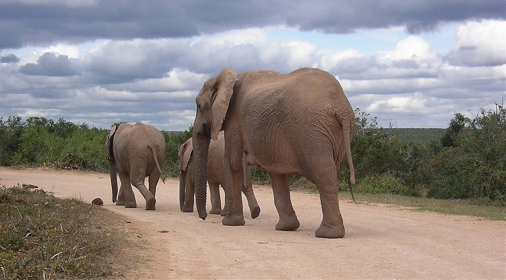 walk along the road