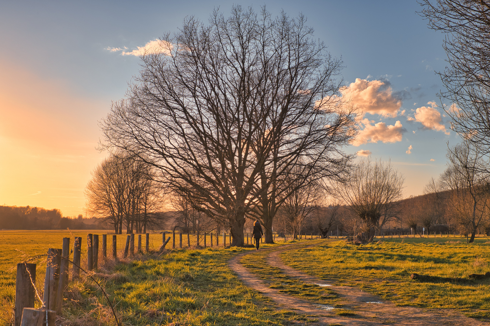 Walk at Sunset