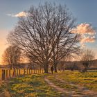 Walk at Sunset