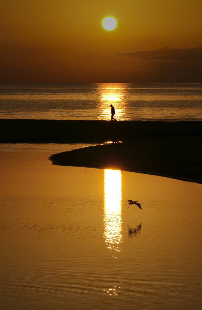 Walk at sunset