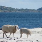 Walk at the beach