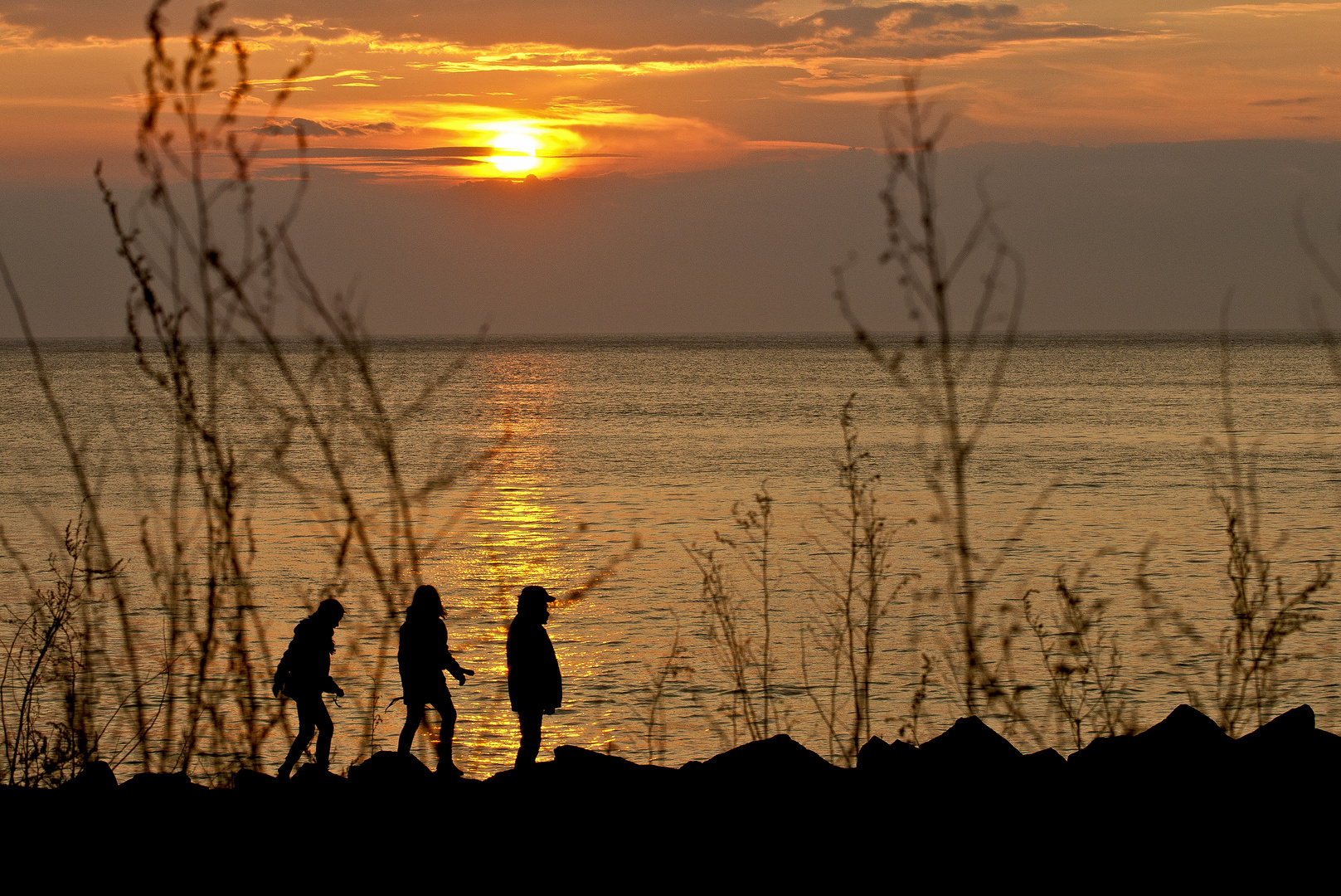 Walk auf der Huckemauer (Hiddensee)