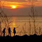 Walk auf der Huckemauer (Hiddensee)