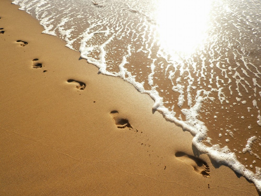 WALK BY THE SEA-SIDE