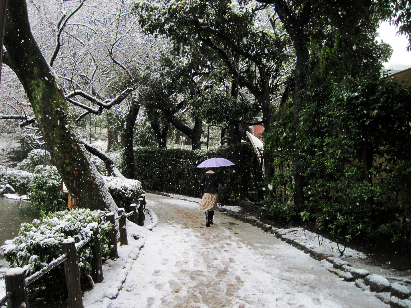 Walk Down Winter's Road