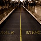 WALK I STAND